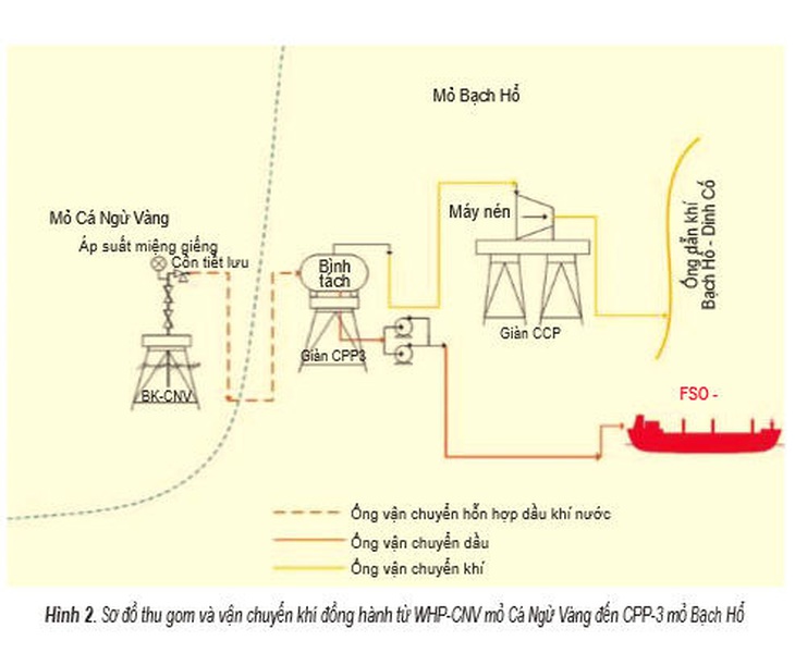 Ngày Khoa học Công nghệ VN 18-5: Công trình nghiên cứu của con nhà nghèo làm lợi hàng tỉ USD - Ảnh 2.