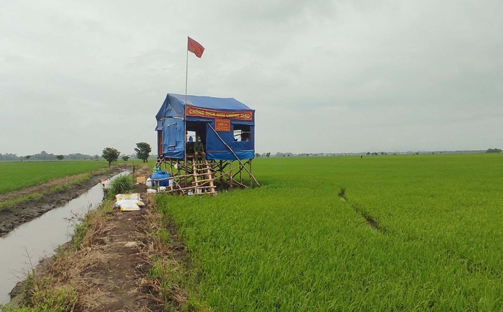 Bất ngờ nhận quà từ bạn đọc Tuổi Trẻ - Ảnh 1. Bất ngờ nhận quà từ bạn đọc Tuổi Trẻ - Ảnh 1.