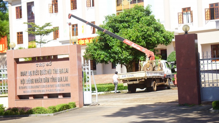 Khởi tố cựu chánh, phó Văn phòng Đoàn ĐBQH và HĐND tỉnh Gia Lai - Ảnh 1.