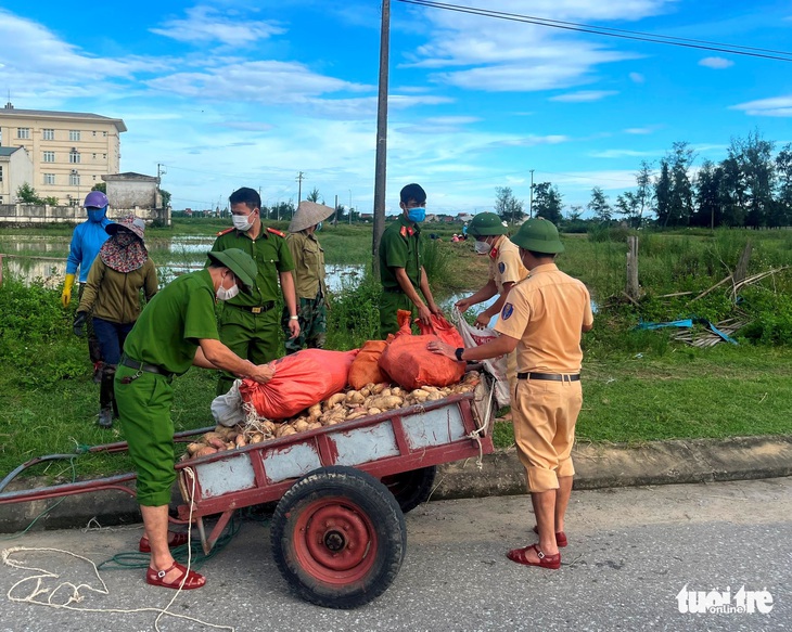 Chung tay thu hoạch hoa màu bị ngập úng cho người dân vùng phong tỏa - Ảnh 3.