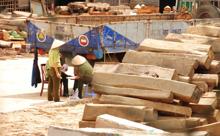 Để tuồn cẩm lai, giáng hương ra ngoài và độn gỗ khác vào tang vật - Ảnh 1.