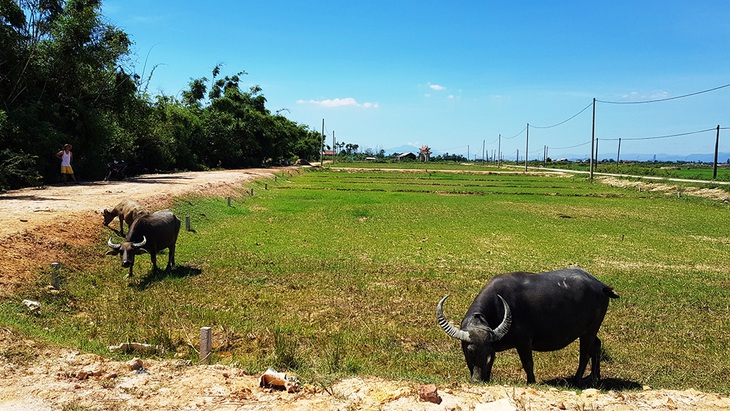 Giá nhà đất ở Huế tăng đột biến - Ảnh 1.