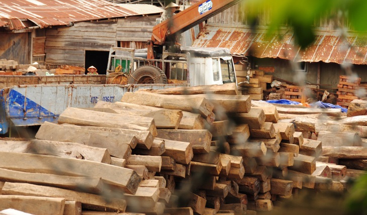 Cảnh cáo nguyên cục trưởng thi hành án để xảy ra vụ tráo gỗ tang vật - Ảnh 1.