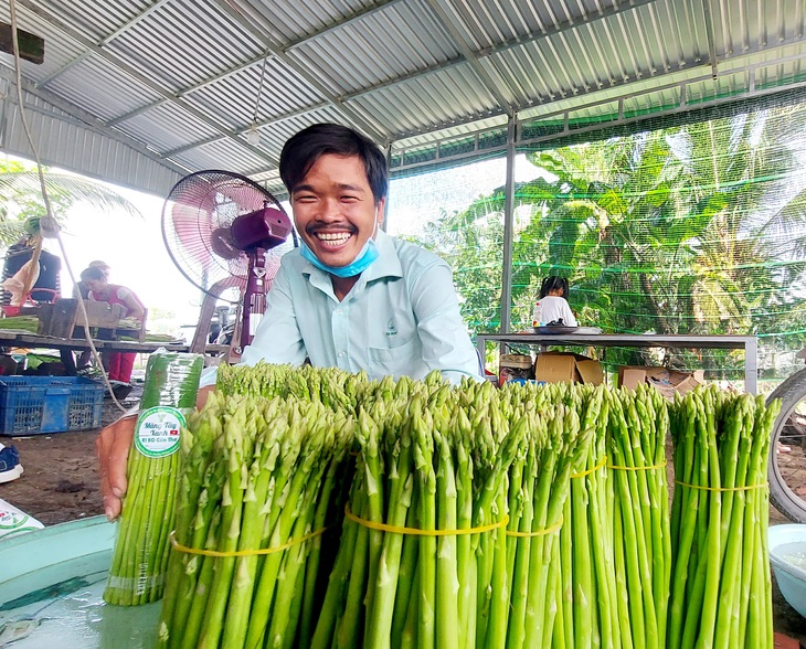 Kết duyên măng tây xanh trên vùng đất lúa - Ảnh 1.