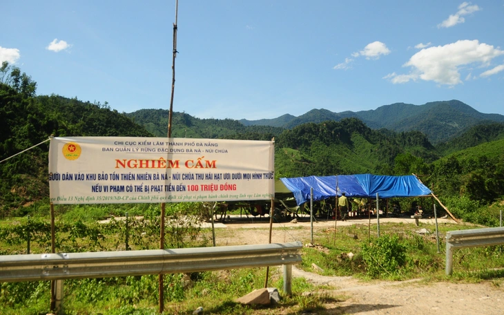 Ươi bay khắp rừng Trường Sơn, dân đổ xô đi nhặt lộc trời, kiểm lâm siết chặt bảo vệ - Ảnh 6.