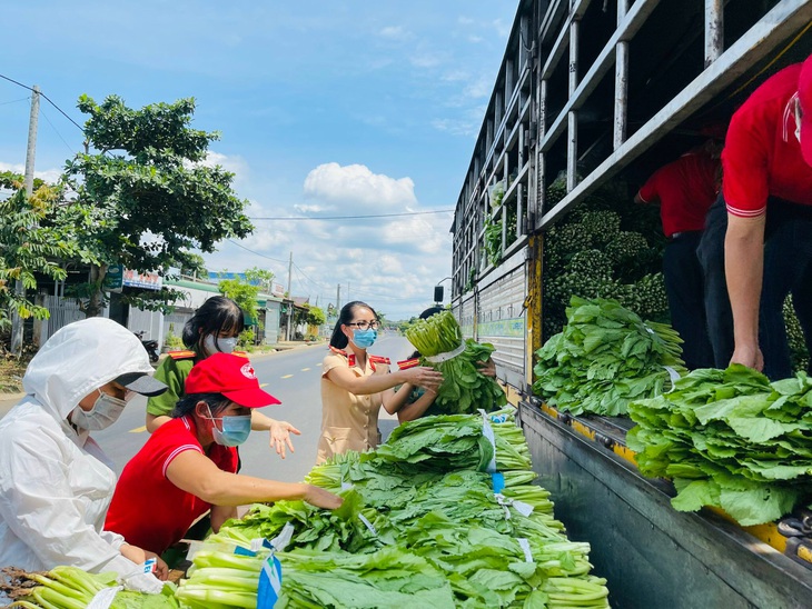 Những chuyến xe từ Tây Nguyên chở rau củ, gửi yêu thương về Sài Gòn - Ảnh 4.