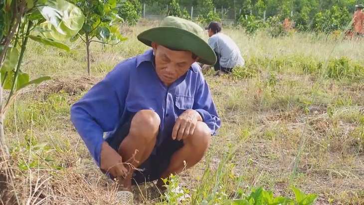 Như chưa hề có cuộc chia ly: Đại dịch không ngăn được niềm vui đoàn tụ - Ảnh 1.