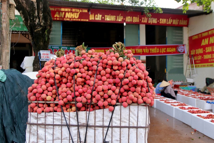 Chuyến đi ‘số’ của vải thiều: một tháng nhìn lại - Ảnh 1.