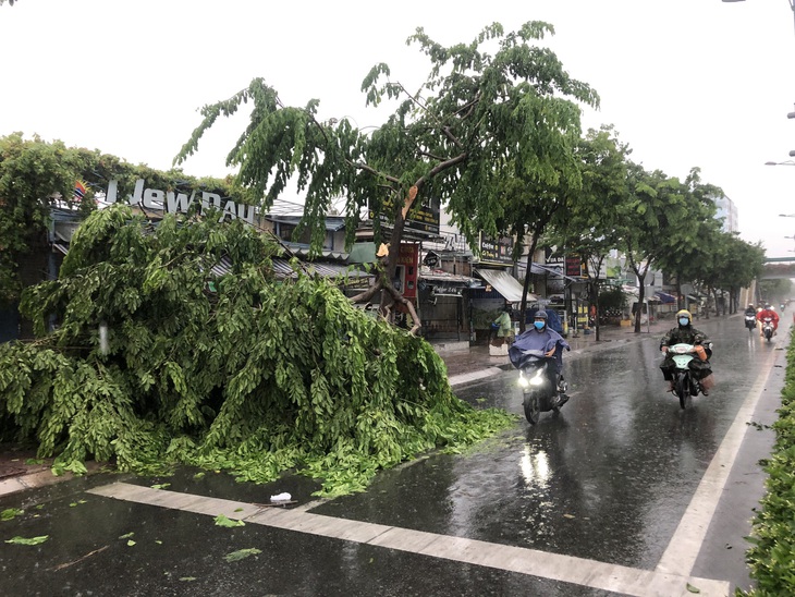 TP.HCM: Mưa dông gió giật mạnh cây xanh, bảng hiệu gãy khắp nơi - Ảnh 4.