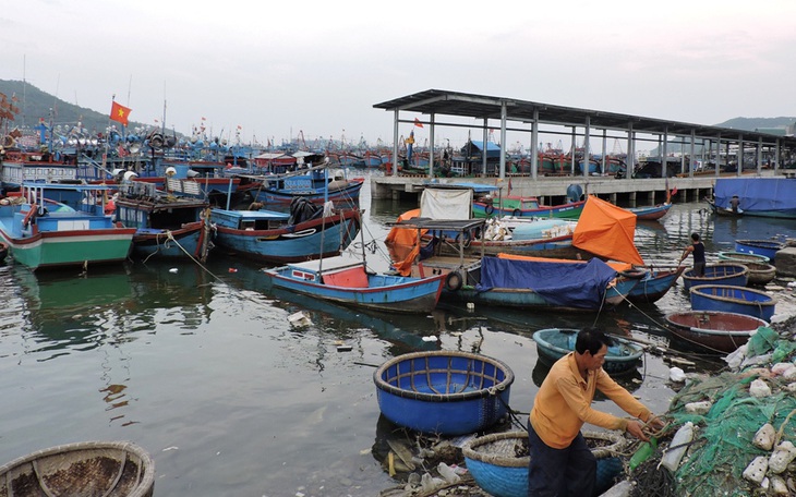 Ca nữ COVID-19 ở Phú Yên liên tục vào chợ cá Hòn Rớ, TP Nha Trang