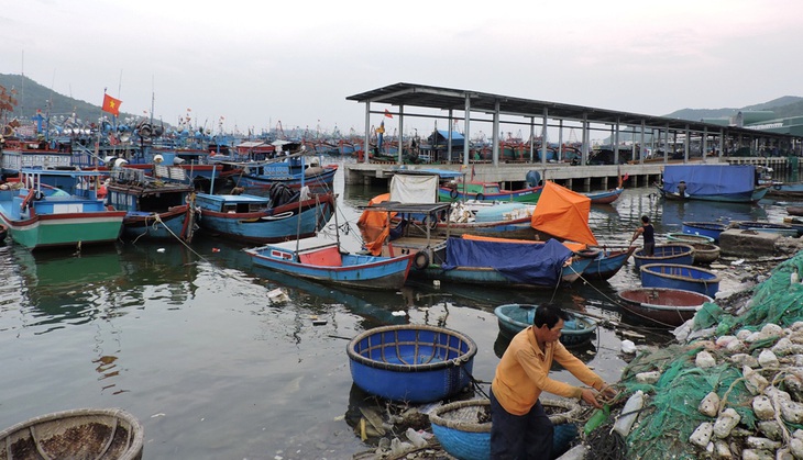 Ca nữ COVID-19 ở Phú Yên liên tục vào chợ cá Hòn Rớ, TP Nha Trang - Ảnh 1.