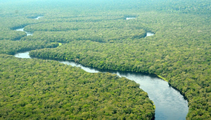 Công viên Salonga ra khỏi danh sách di sản thế giới bị đe dọa của UNESCO - Ảnh 1.