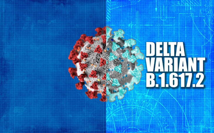 CDC Mỹ: Biến thể Delta lây nhanh như thủy đậu, mạnh hơn cúm mùa