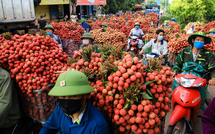 Xuất khẩu nông sản đạt gần 28 tỉ USD trong 6 tháng, Mỹ là thị trường lớn nhất