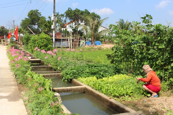 Canh tơm nấu rau dền cơm - Anh ăn một chén thảo thơm quê nhà… - Ảnh 3.