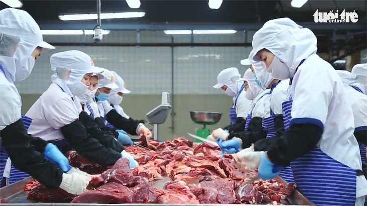 Công ty Vissan hoạt động trở lại ngày 20-8 - Ảnh 1. Công ty Vissan hoạt động trở lại ngày 20-8 - Ảnh 1.
