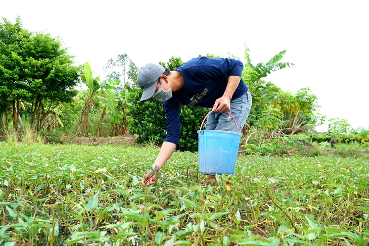 Công nhân dè sẻn từng bữa ăn nhưng chia sớt cho nhau từng cọng rau, con ốc - Ảnh 2.