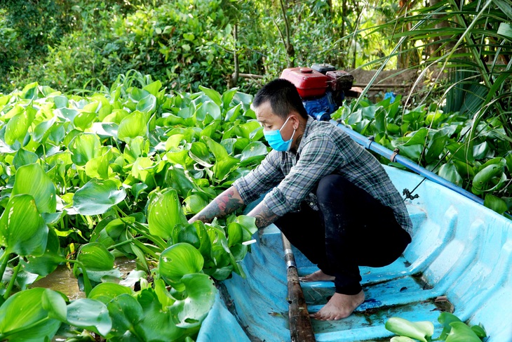 Bỏ tiền túi trồng vườn rau sạch tặng dân vùng dịch - Ảnh 5.