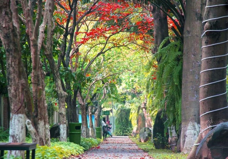 Khu đô thị nói không với cung đường, vỉa hè bê tông - Ảnh 4. Khu đô thị nói không với cung đường, vỉa hè bê tông - Ảnh 4.