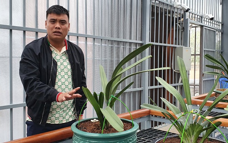 ‘Đại gia’ lan đột biến nổi tiếng trên mạng bị bắt vì khai thác hàng triệu tấn than lậu