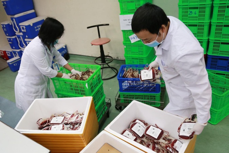 2.000 đơn vị máu sẻ chia cùng miền Nam chống dịch - Ảnh 1.