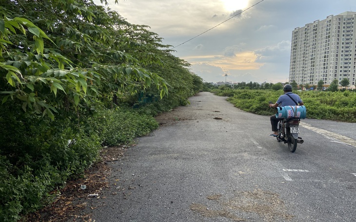 Phó thủ tướng Lê Văn Thành làm chủ tịch Hội đồng thẩm định quy hoạch sử dụng đất quốc gia