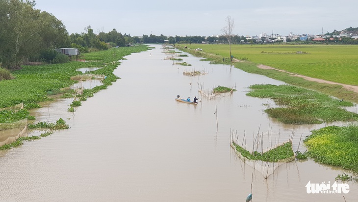 Nước lũ xăm xắp, người dân tất bật bủa lưới, đặt dớn đánh bắt cá đồng - Ảnh 1.