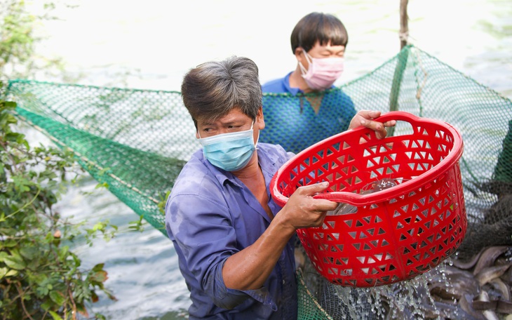 Cậy láng giềng gần