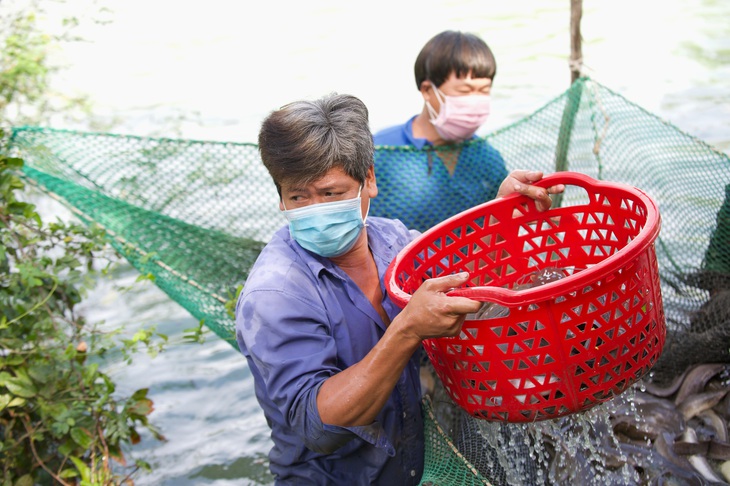 Cậy láng giềng gần - Ảnh 1.