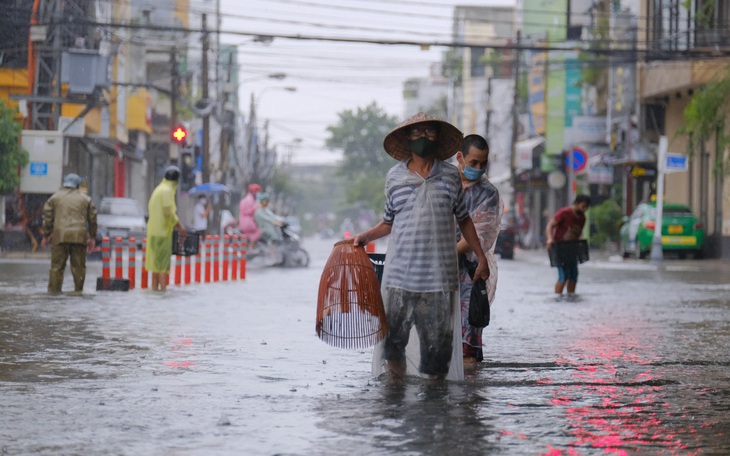 Mưa ngập nội thành, người dân Đà Nẵng nô nức ra đường bắt cá để giải trí