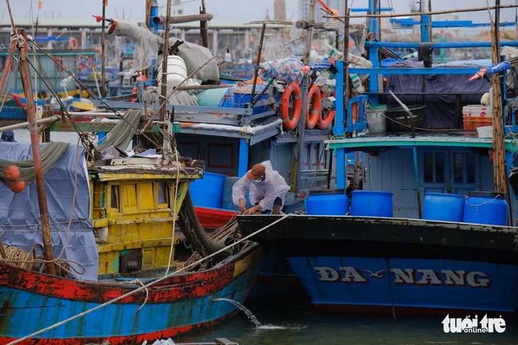 Ngư dân Đà Nẵng mang tàu thuyền lên đường, néo vô cây... đề phòng bão số 6 - Ảnh 1.