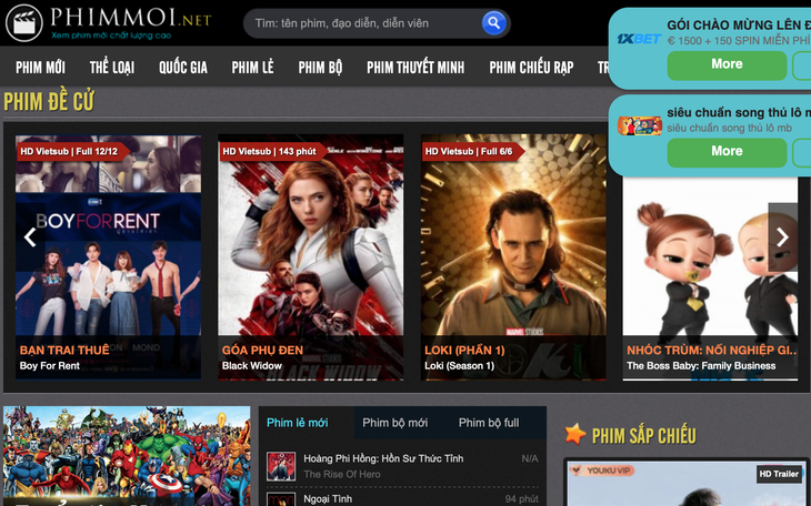 Công an Hà Nội triệt phá website Fmovies với gần 50.000 phim lậu - Ảnh 2.