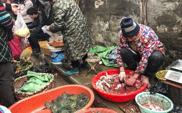 Nghiên cứu: Càng hiểu về COVID-19, càng ít tiêu thụ động vật hoang dã