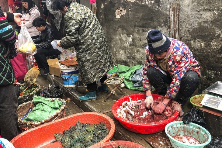 Nghiên cứu: Càng hiểu về COVID-19, càng ít tiêu thụ động vật hoang dã - Ảnh 1.