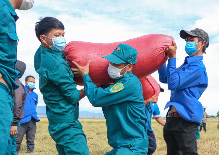 Dân quân tự vệ giúp dân gặt lúa - Ảnh 4.