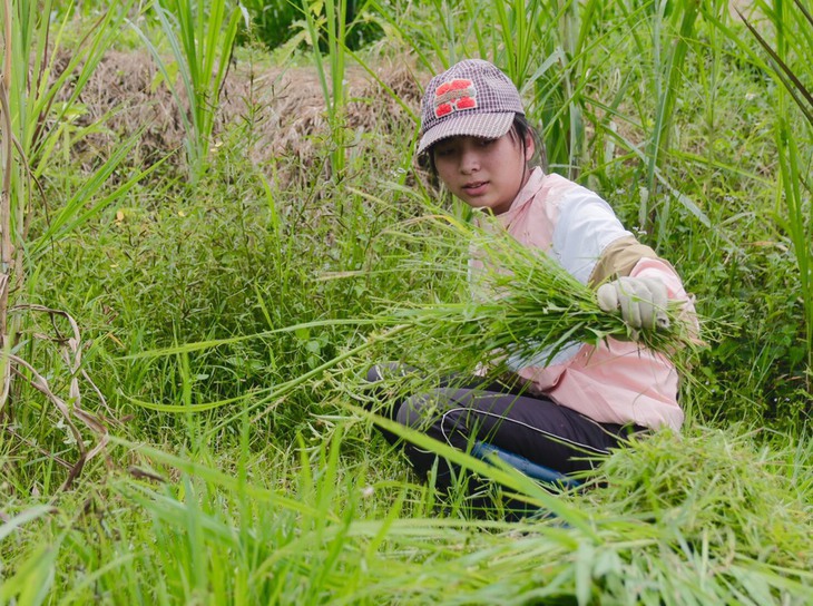 Quần quật làm thêm, săn học bổng đến giảng đường - Ảnh 4.