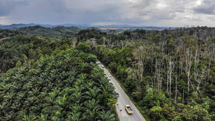 Indonesia thông qua luật dời đô, đặt tên thủ đô mới là Nusantara - Ảnh 1.