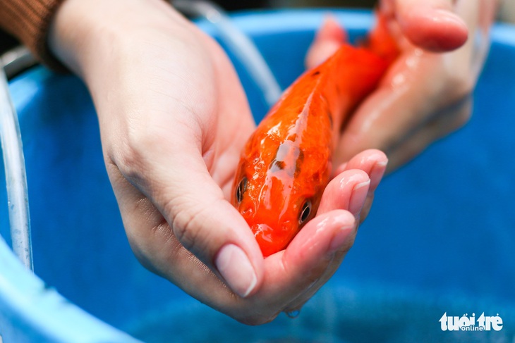 Năm nay khó khăn nhưng cũng ráng cho ông Táo về trời tươm tất - Ảnh 3. Năm nay khó khăn nhưng cũng ráng cho ông Táo về trời tươm tất - Ảnh 3.