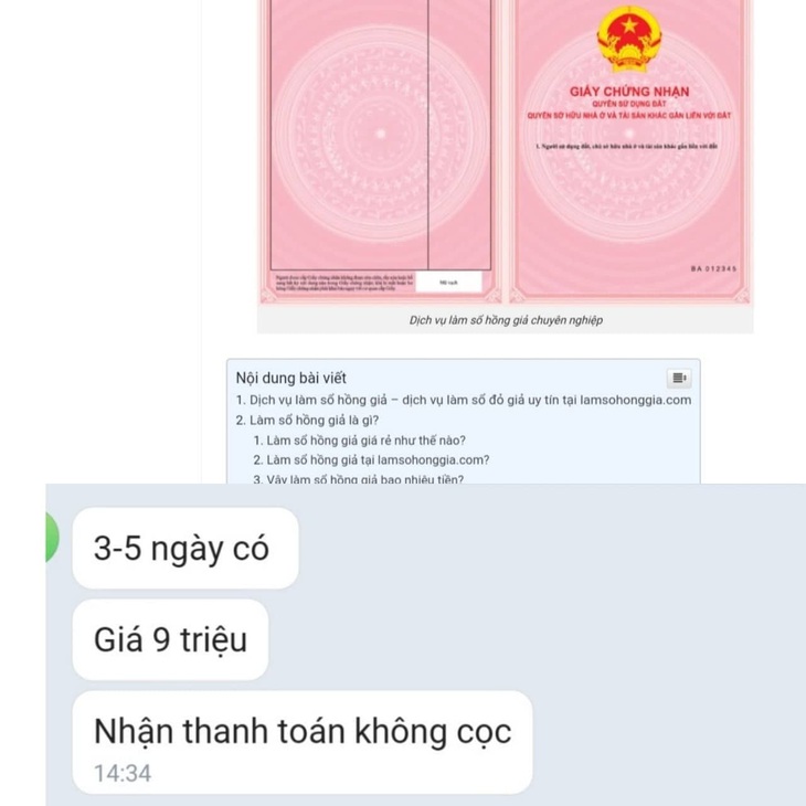 Vô tư rao bán sổ đỏ giả - Ảnh 3.