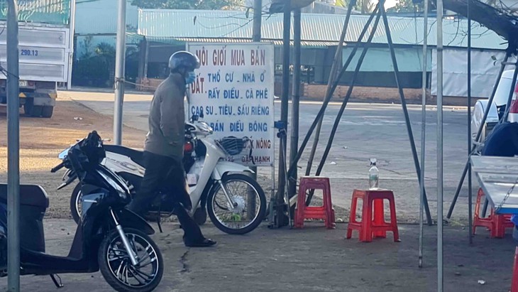 Nóng, lạnh chợ nhà đất thời bình thường mới - Kỳ 4:  Đất đồi núi cũng tăng giá ào ào? - Ảnh 1.