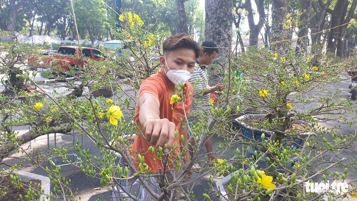 Hoa Tết ở TP.HCM: Nhà vườn và người mua thử sức kiên nhẫn của nhau - Ảnh 3.