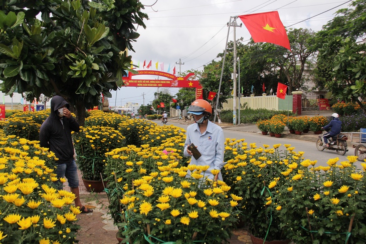 Sắc xuân ngập tràn quê hương Hải đội Hoàng Sa - Ảnh 6.