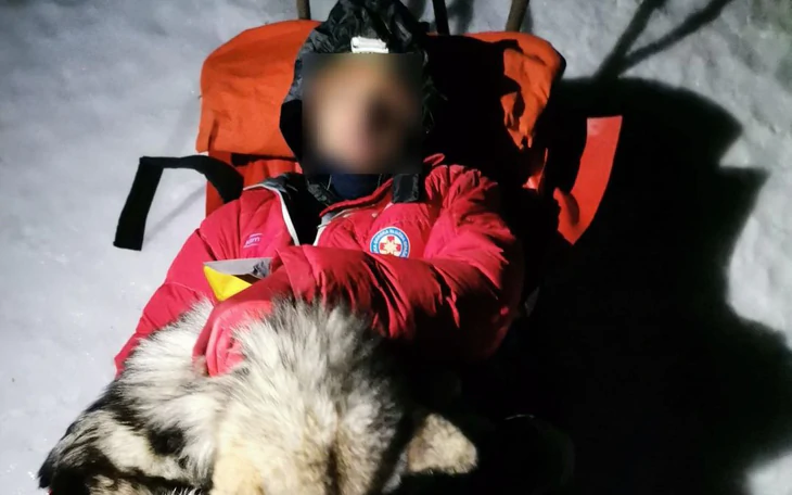 Vì sao chó Alaska đặc biệt thân thiện với con người? - Ảnh 3.