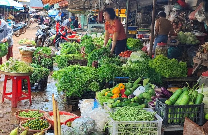 Không lo tăng giá, thiếu hụt hàng dịp Tết Quý Mão - Ảnh 1.