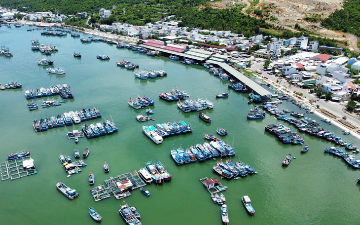 Xử lý nghiêm tổ chức, cá nhân tiếp tay cho tàu cá vi phạm IUU - Ảnh 4.