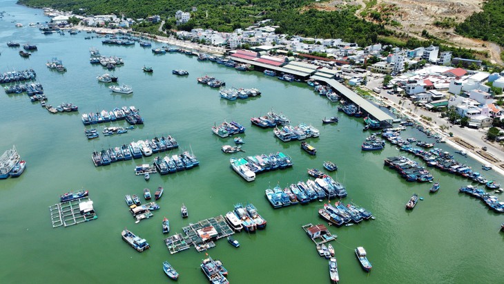 Đoàn thanh tra của Ủy ban châu Âu đến Khánh Hòa kiểm tra chống khai thác IUU - Ảnh 1.