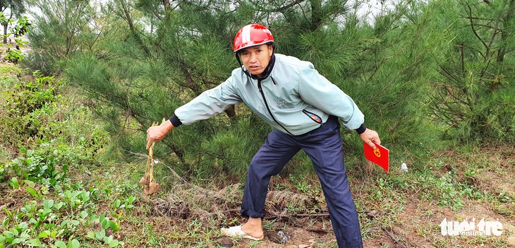 Hàng trăm cây trồng giặm tại rừng phòng hộ ở Thanh Hóa bị nhổ bỏ - Ảnh 2.