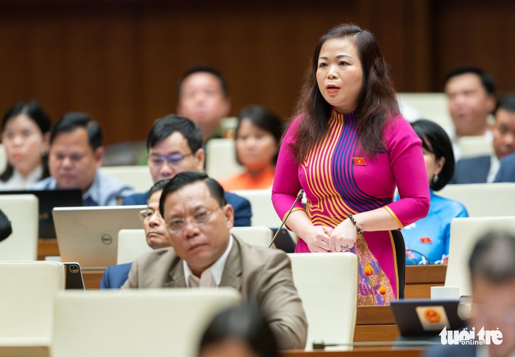 Đại biểu Quốc hội: Nhà đầu tư trong nước có thể mua công nghệ để làm đường sắt đô thị - Ảnh 2.