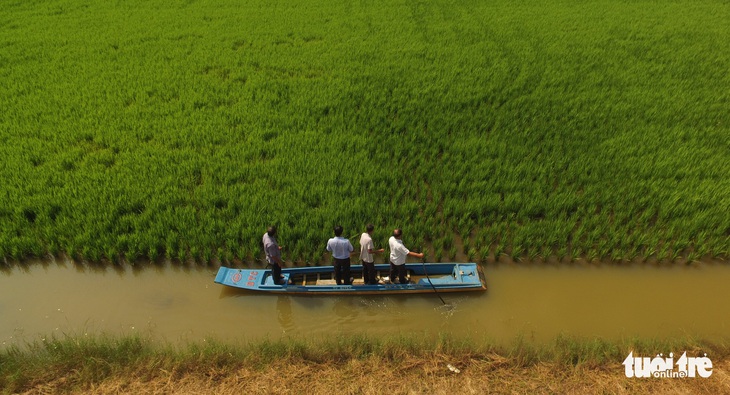 Gần 600ha lúa - tôm Cà Mau được trao chứng nhận ASC Group - Ảnh 1.