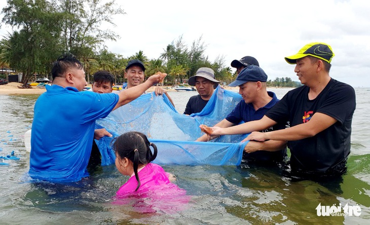 Ruốc vô bờ đỏ biển Phú Quốc, chủ khách sạn và khách kéo nhau xúc ruốc, kéo cá - Ảnh 1.